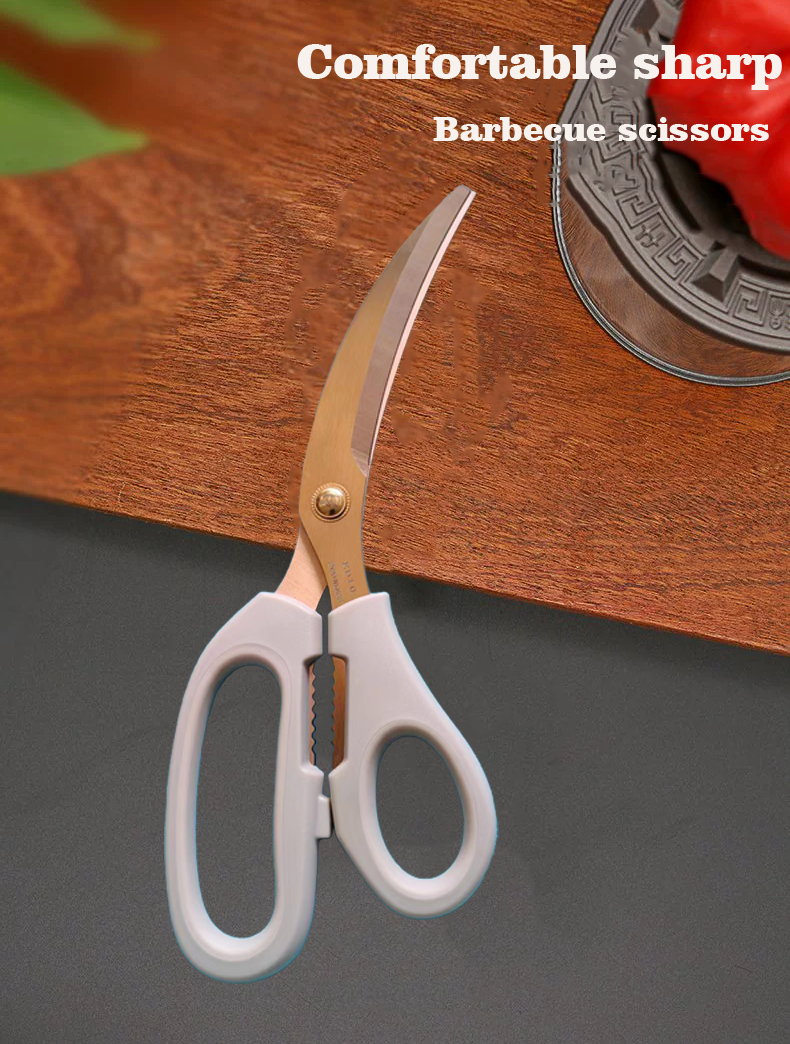 ED10 Barbecue shears